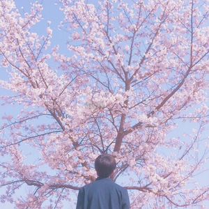 四个小萝莉被爆菊楠楠
